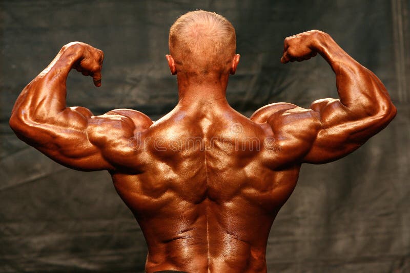 Bodybuilder stock fotografie Bodybuilder stock fotografie