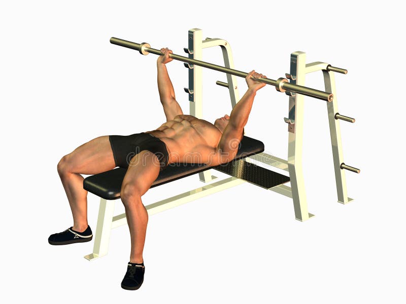 Bodybuilder bench pressing royalty free illustration