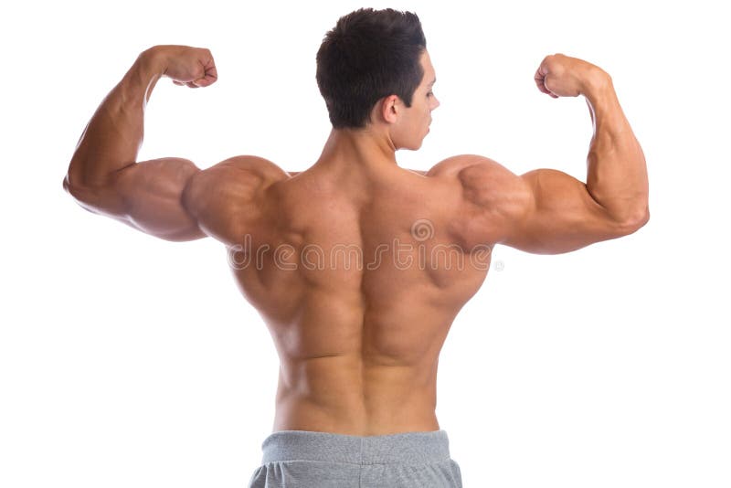 Bodybuilder bodybuilding muscles back biceps strong muscular young man isolated on a white background