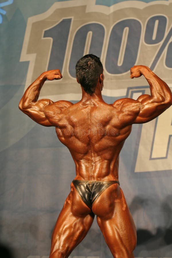 Back of Bodybuilder at Open Cup of Bodybuilding Editorial Stock Image -  Image of fitness, back: 22736024