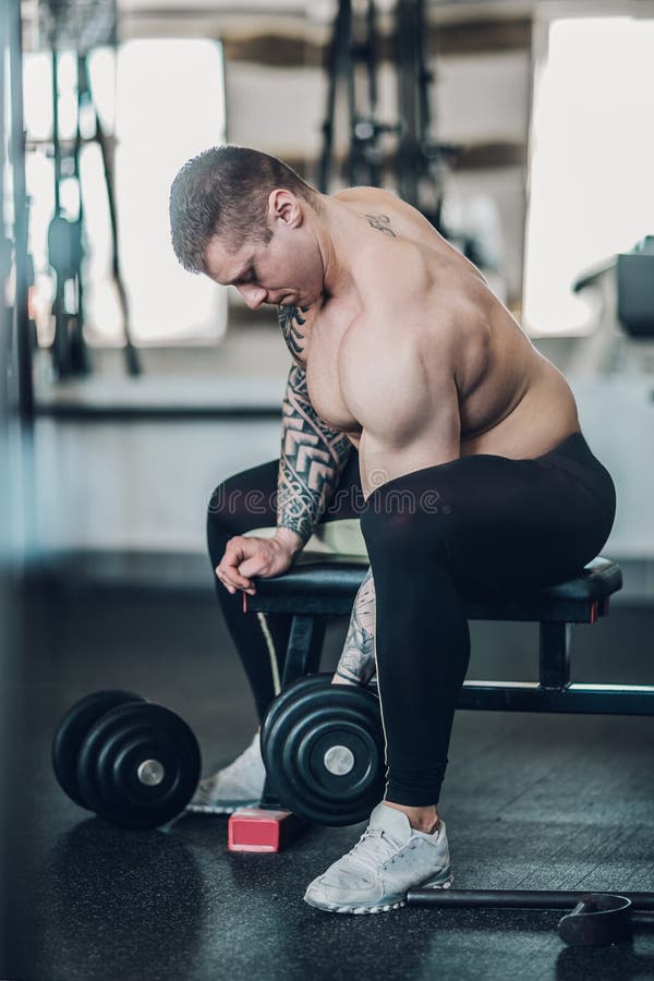 Bodybuilder facet siedzi na ławce i wykonuje ćwiczenia dla jego bicepsów zdjęcia royalty free Bodybuilder facet siedzi na ławce i wykonuje ćwiczenia dla jego bicepsów zdjęcia royalty free