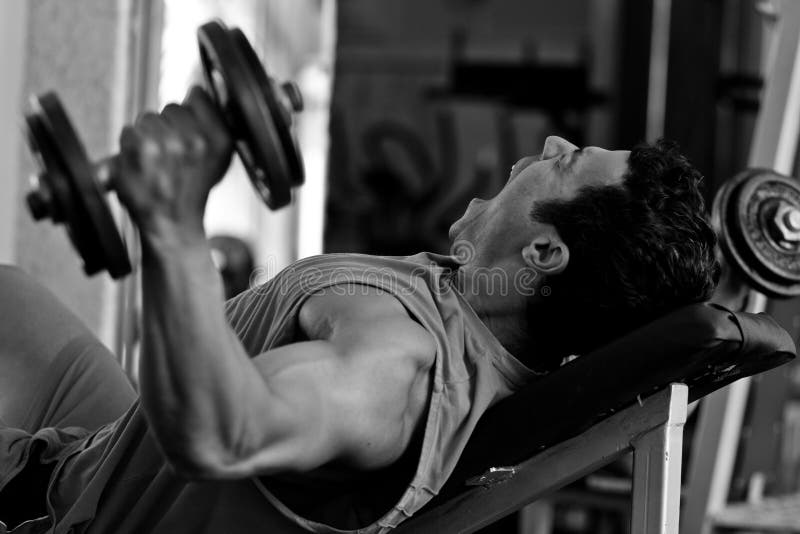 Bodybuilder hard training in the gym royalty free stock photography Bodybuilder hard training in the gym royalty free stock photography