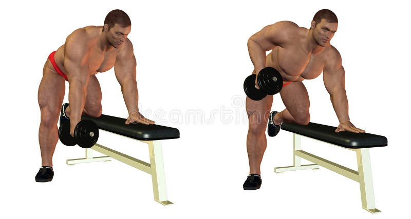Bodybuilder lifting weights stock illustration