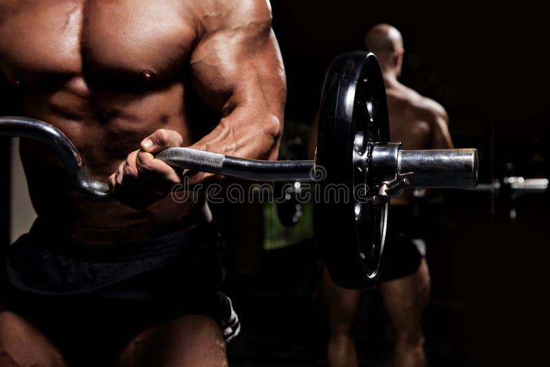 Bodybuilder working out biceps with barbell in front of mirror low key. Bodybuilder working out biceps with barbell in front of mirror low key