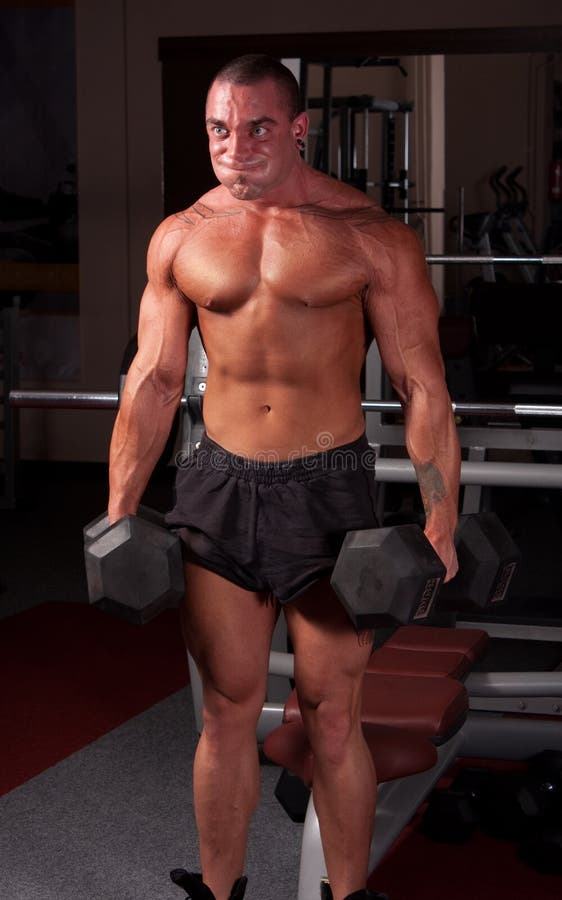 bodybuilder szkolenie fotografia stock bodybuilder szkolenie fotografia stock