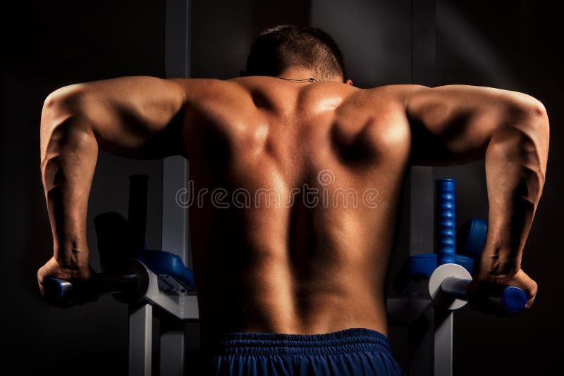 Muscular back of young bodybuilder training in dark background. Muscular back of young bodybuilder training in dark background