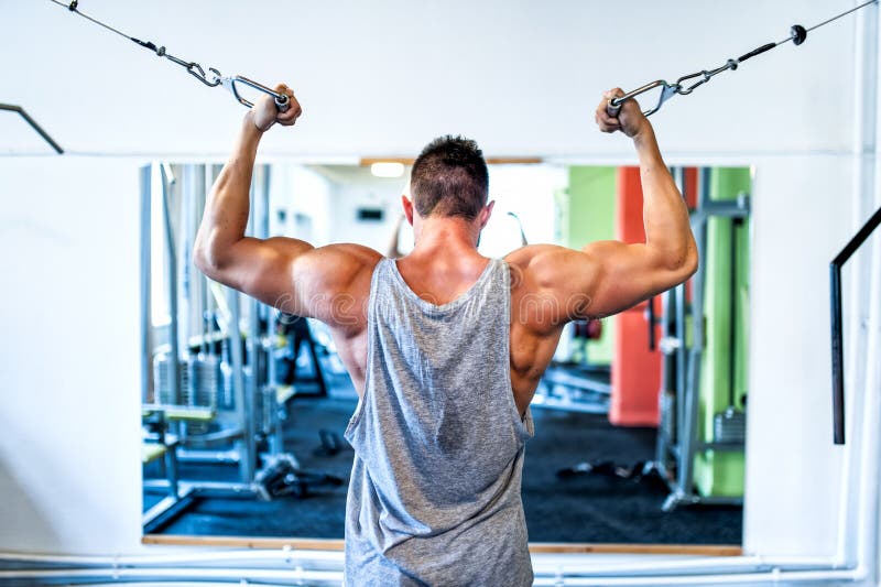621 Bodybuilder Working Out Biceps Gym Sports Concept Stock Photos - Free &  Royalty-Free Stock Photos from Dreamstime