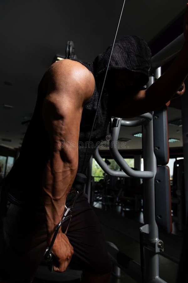 Bodybuilder που κάνει τη βαρέων βαρών άσκηση για Triceps στοκ εικόνα Bodybuilder που κάνει τη βαρέων βαρών άσκηση για Triceps στοκ εικόνα
