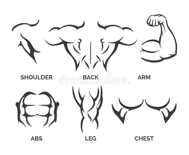Bodybuilderkörperteilikonen lizenzfreie abbildung Bodybuilderkörperteilikonen lizenzfreie abbildung
