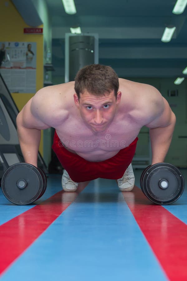 Bodybuilders Engaged in the Gym Stock Photo Image of bodybuilding