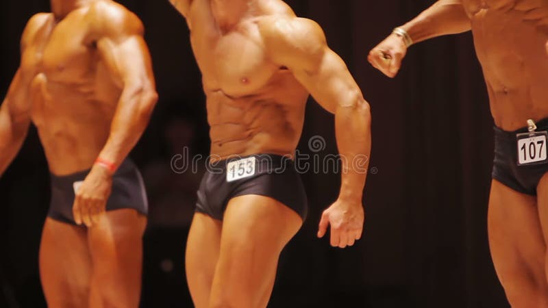 Bodybuilders masculins musculaires démontrant les corps convenables à la concurrence de forme physique