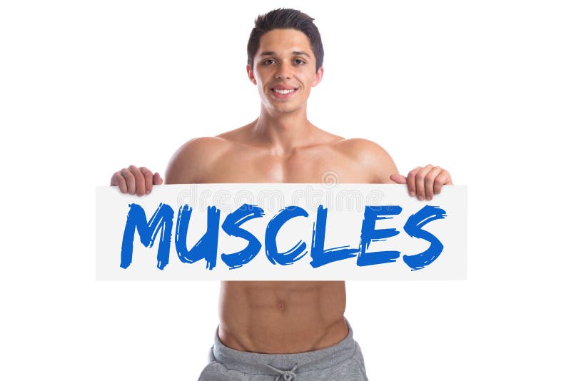 Bodybuilding bodybuilder body builder building muscles muscle st stock images Bodybuilding bodybuilder body builder building muscles muscle st stock images
