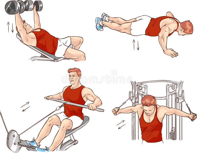Bodybuilding exercise stock vector. Illustration of indoor - 54399487