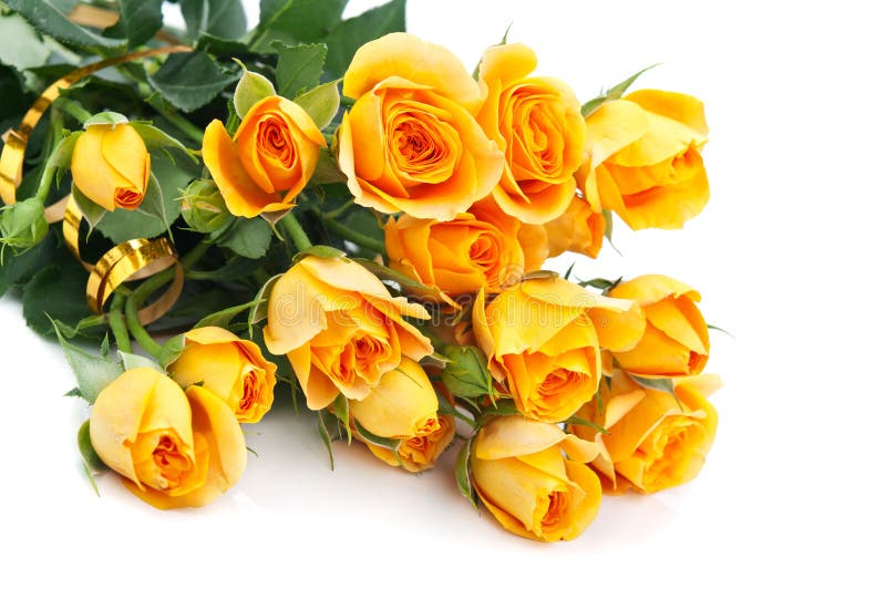 Boeket rozen royalty-vrije stock foto's