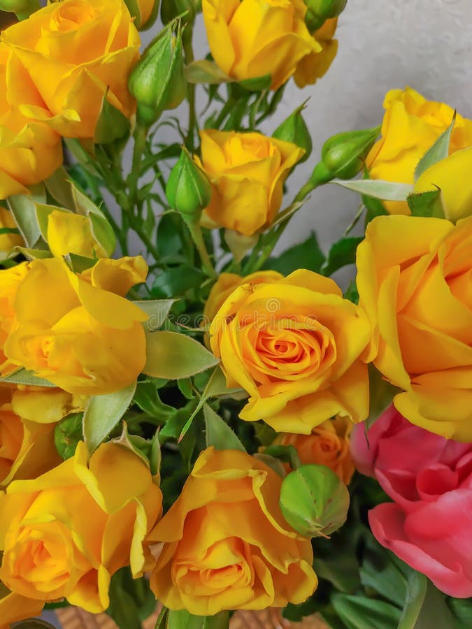 Boeket van bloemenrozen en twee tulpen in één stock afbeeldingen Boeket van bloemenrozen en twee tulpen in één stock afbeeldingen