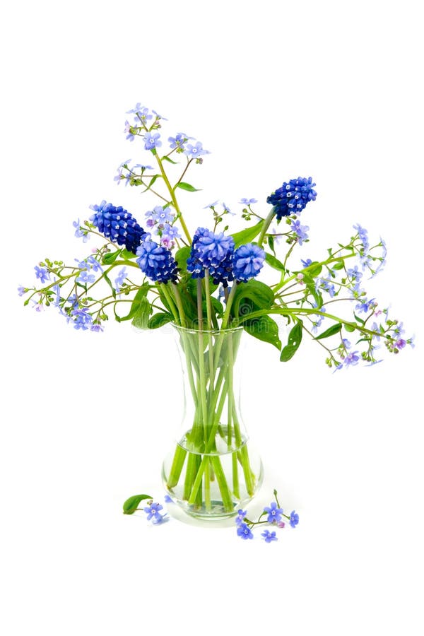 Boeket van de lentebloemen royalty-vrije stock afbeelding Boeket van de lentebloemen royalty-vrije stock afbeelding