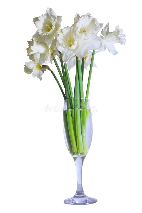Boeket van gele narcissen in een glas stock foto Boeket van gele narcissen in een glas stock foto
