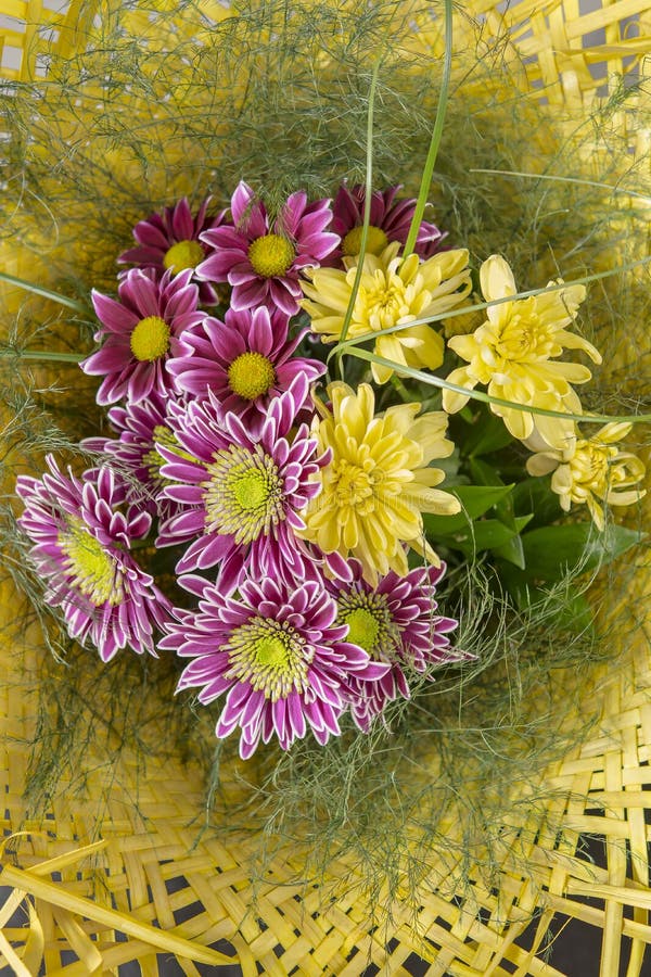 Bouquet of magenta and yellow autumn flowers. Bouquet of magenta and yellow autumn flowers