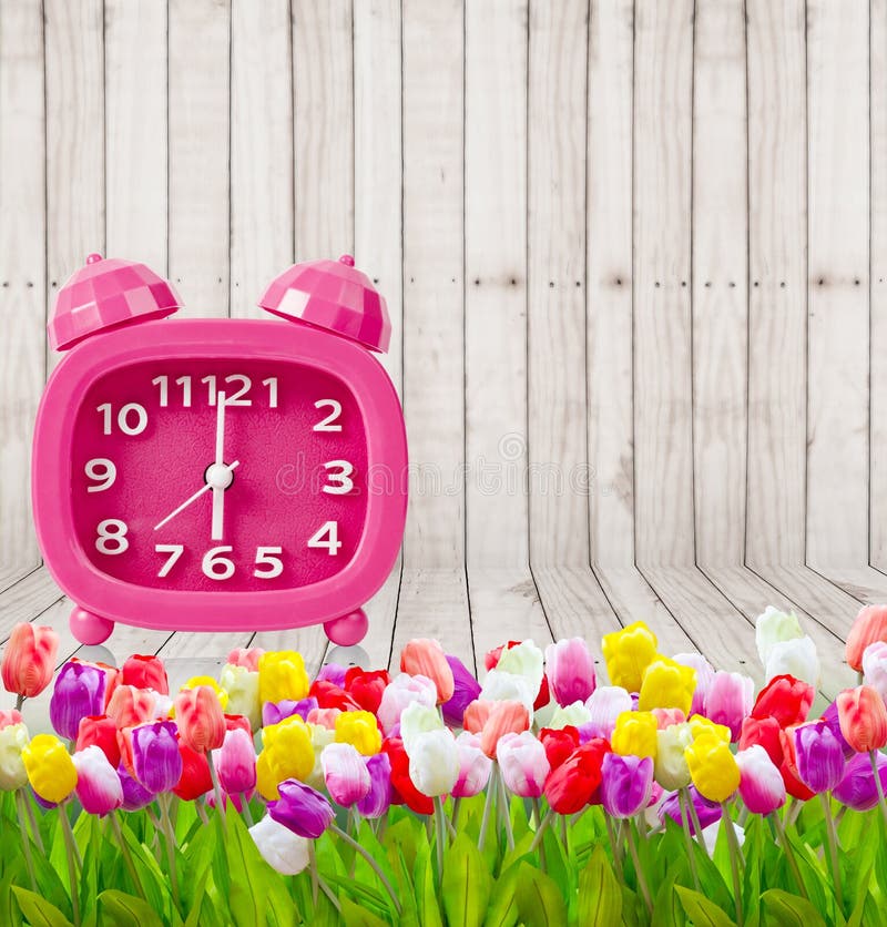 Boeket van Tulpen met uitstekende roze wekker royalty-vrije stock afbeeldingen Boeket van Tulpen met uitstekende roze wekker royalty-vrije stock afbeeldingen