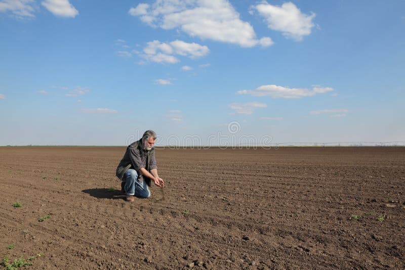 Boer of agronoom die gekweekt veld inspecteert