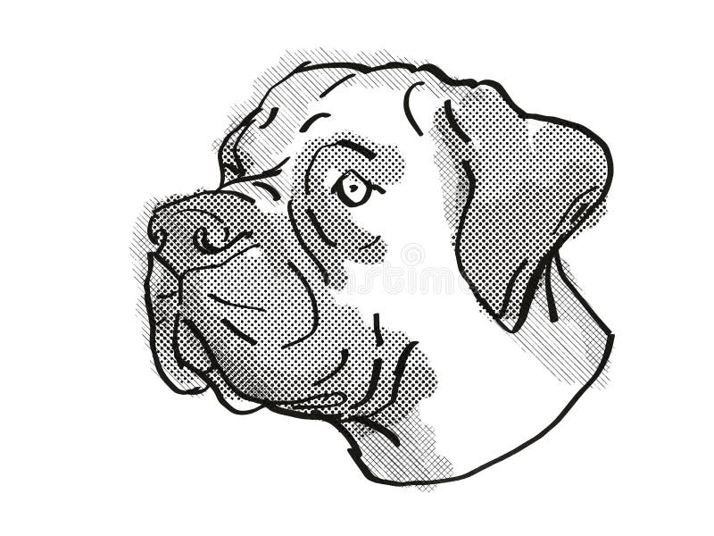 Boerboel Dog Breed Cartoon Retro Drawing