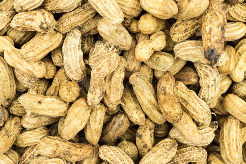 Peanut texture stock image. Image of ingredient, peanut 49852673