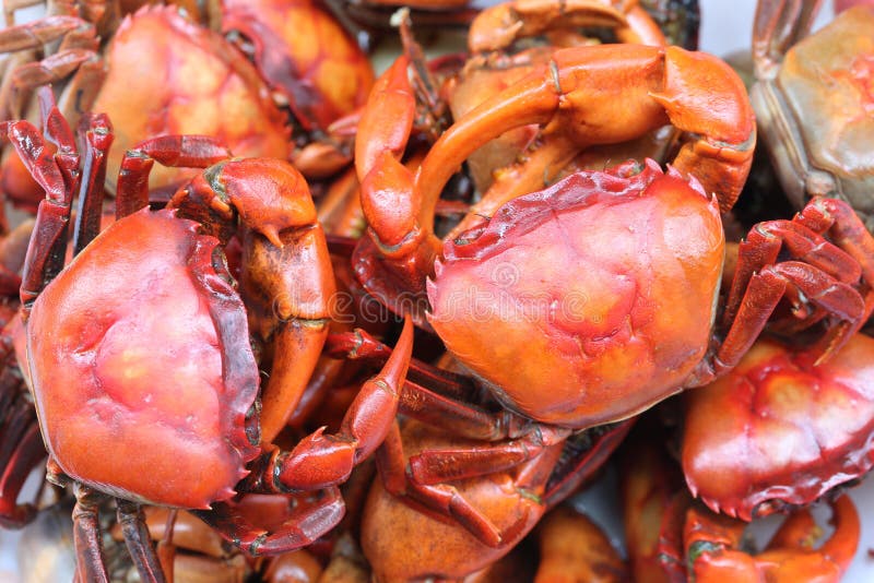 Boil of Rice Field Crabs Background. Stock Image - Image of legs