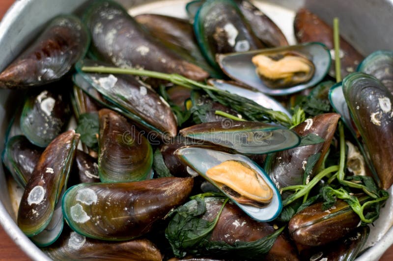 Boiled Asian Green Mussel, Perna Viridis Stock Photo Image of cook