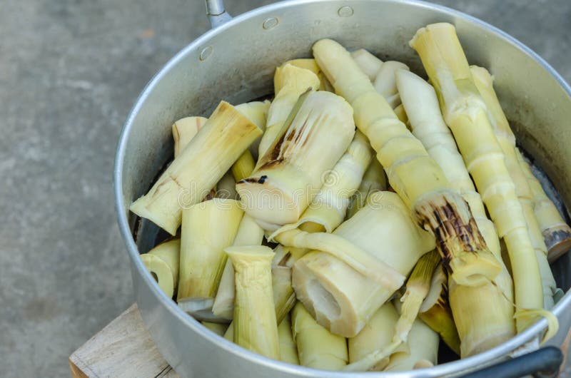 Boiled Bamboo Shoots In Big Pot Stock Image Image of edible, japanese