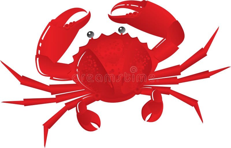 Fiddler Crab Stock Illustrations – 148 Fiddler Crab Stock