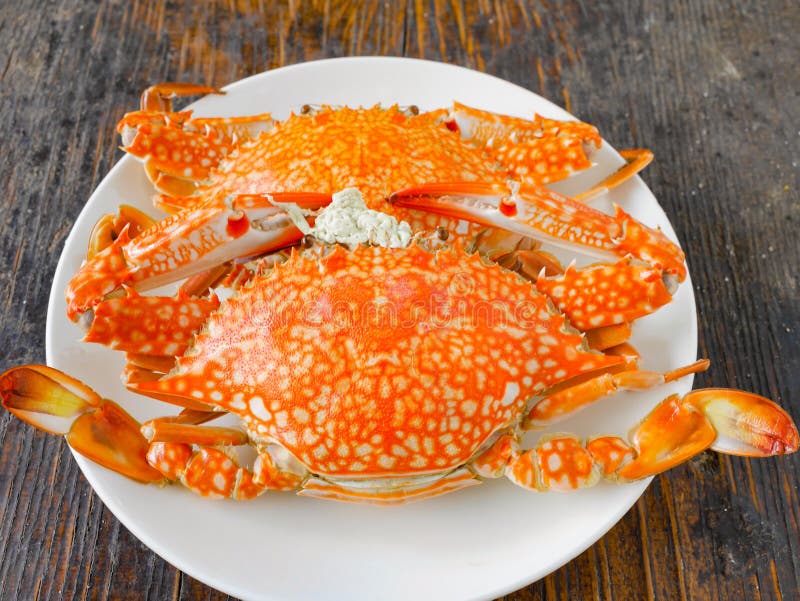 Boiled crab stock photo. Image of cuisine, healthy, colorful 102960226