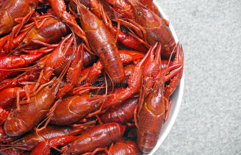 live clawfish live clawfish