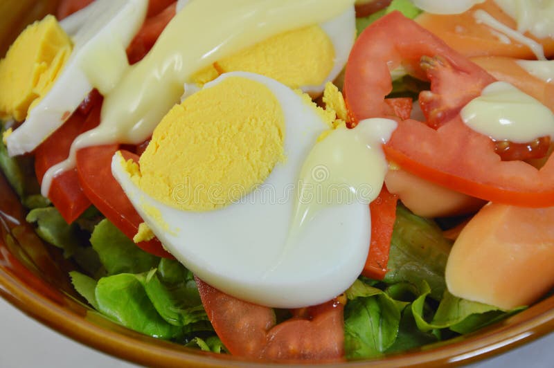 Boiled Egg and Chicken Salad Dressing Mayonnaise Sauce in Bowl Stock