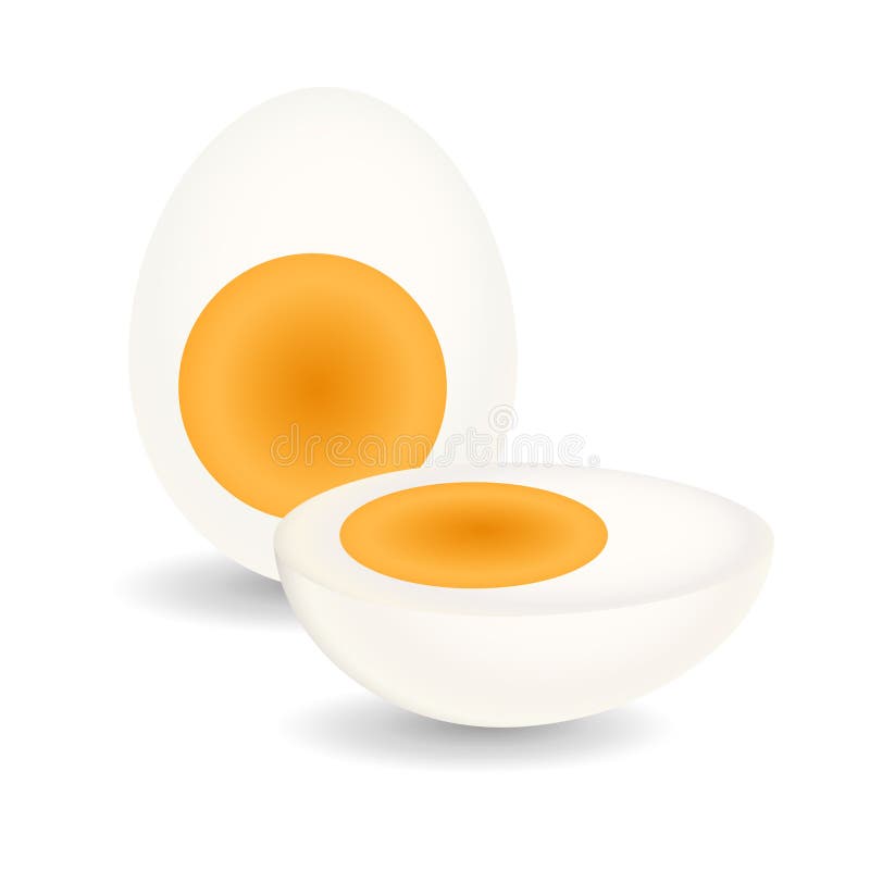 Boiled egg cut in half, realistic vector illustration royalty free illustration