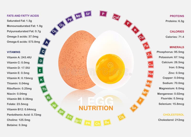 Boiled egg nutrition facts infographic