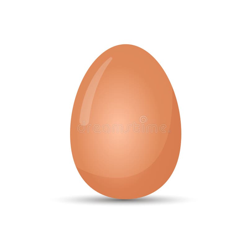 Boiled egg realistic vector illustration isolated on white background