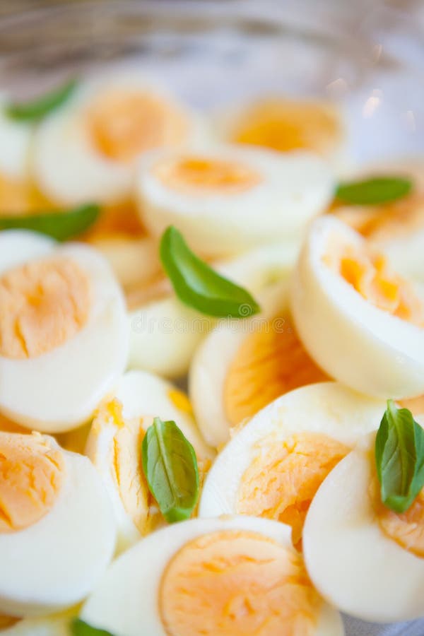 Boiled Eggs and Basil Leaves Stock Photo Image of ingredient, diet