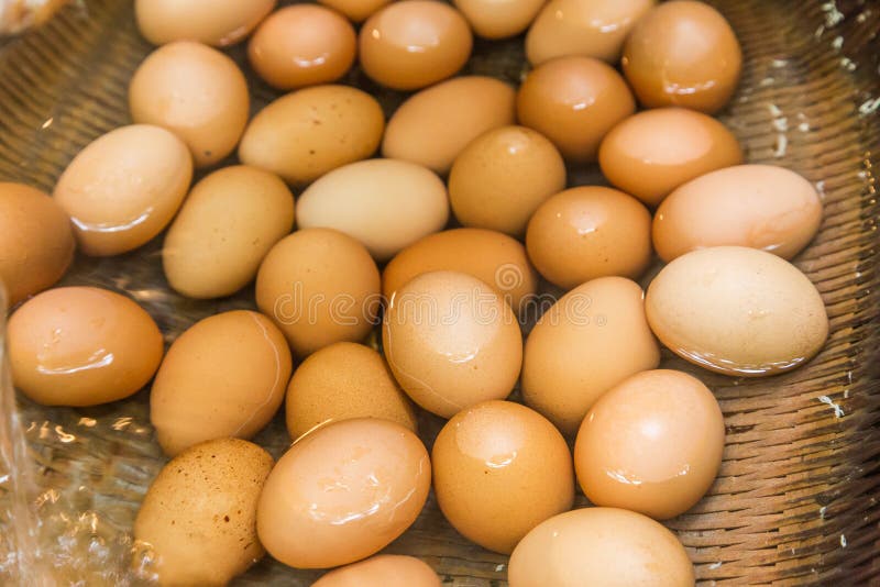 Boiled eggs from hot spring water in Kurokawa onsen, Japan royalty free stock photography Boiled eggs from hot spring water in Kurokawa onsen, Japan royalty free stock photography