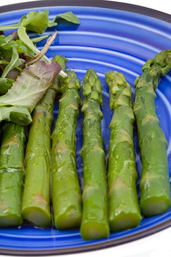 Boiled green asparagus stock image. Image of bunch, drop 19736659