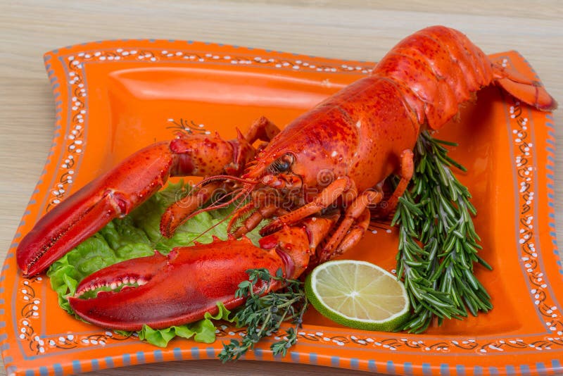 Boiled lobster stock image. Image of meal, lobster, restaurant 51116983