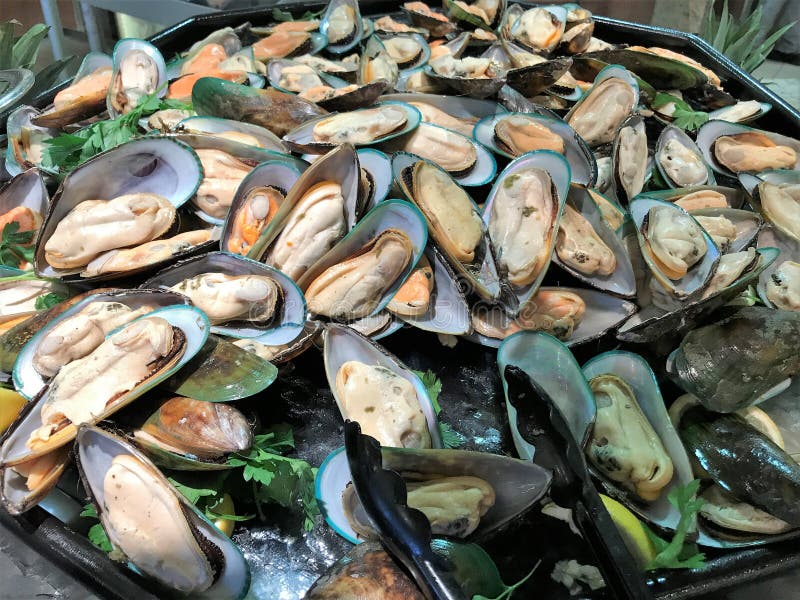 Boiled Mussels in the Shell Stock Image Image of food, healthy 121066909