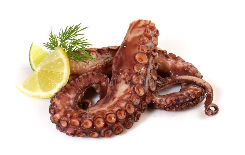Boiled Octopus Tentacles with Lemon Isolated on White Background Stock