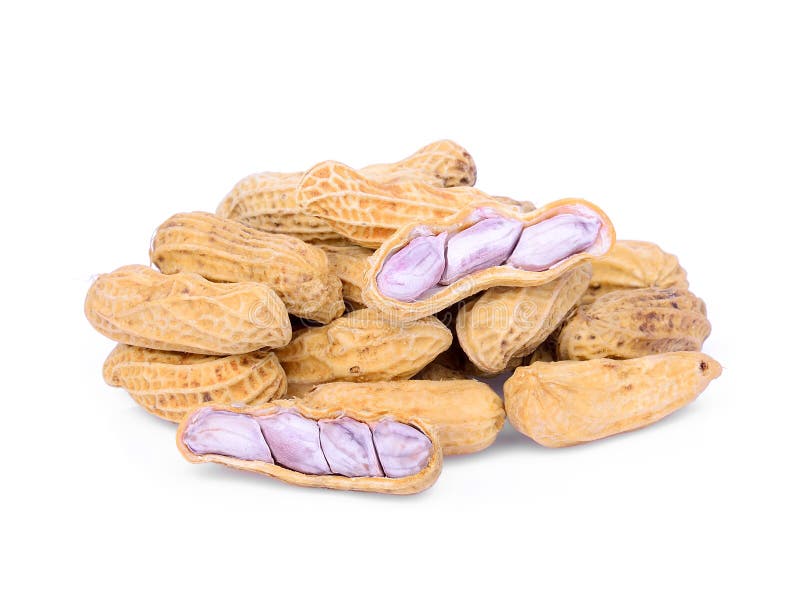 Boiled Peanuts Isolated on White Stock Image Image of health