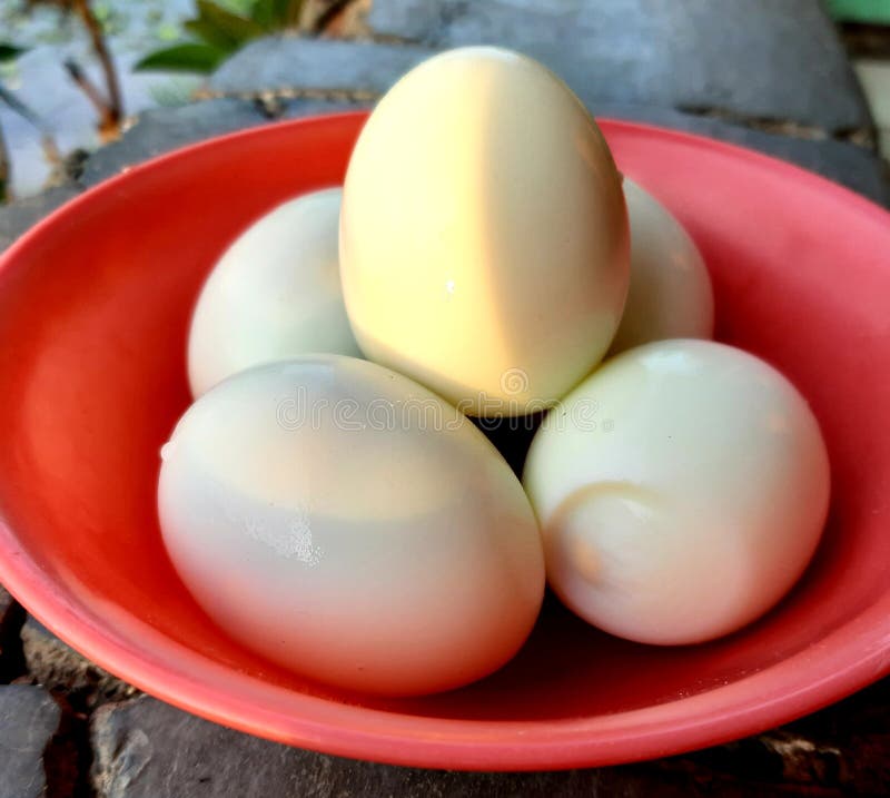 Boiled and Peeled Chicken Eggs Stock Image Image of fruit, baking