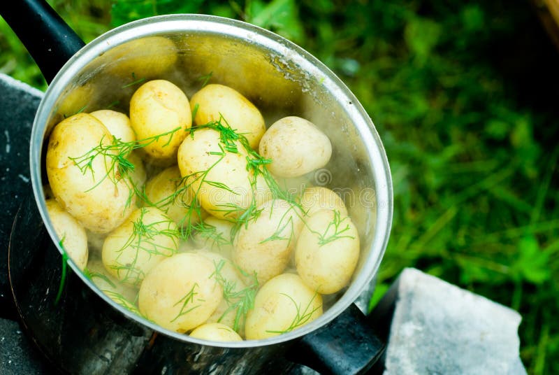 Un piatto di patate a bollire con un po ' di aneto all'aperto, e il pranzo all'aperto.