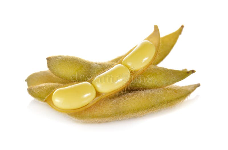Boiled Soybean With Shell On White Background Stock Photo Image of