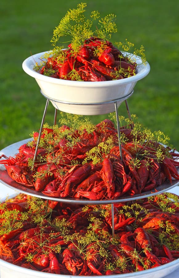 Red crawfish stock image. Image of sharp, seafood, white 2949481