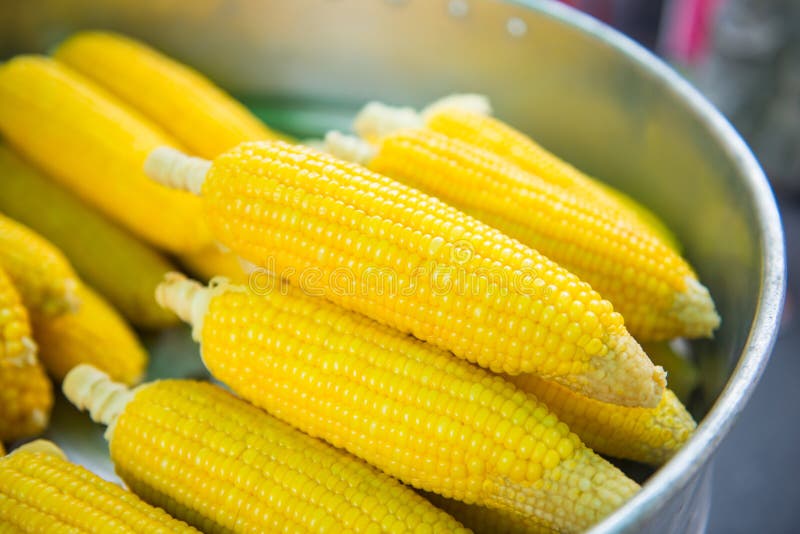 Boiled Sweet Corn for Sell in the Market Stock Image Image of food