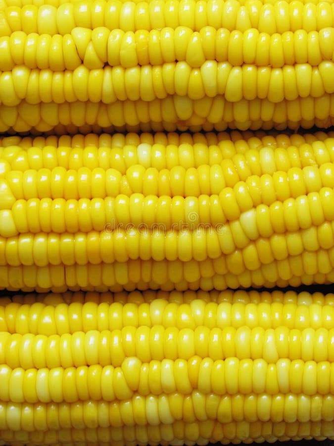 Boiled Yellow Corn, Whole Grains, Healthy. Stock Photo Image of