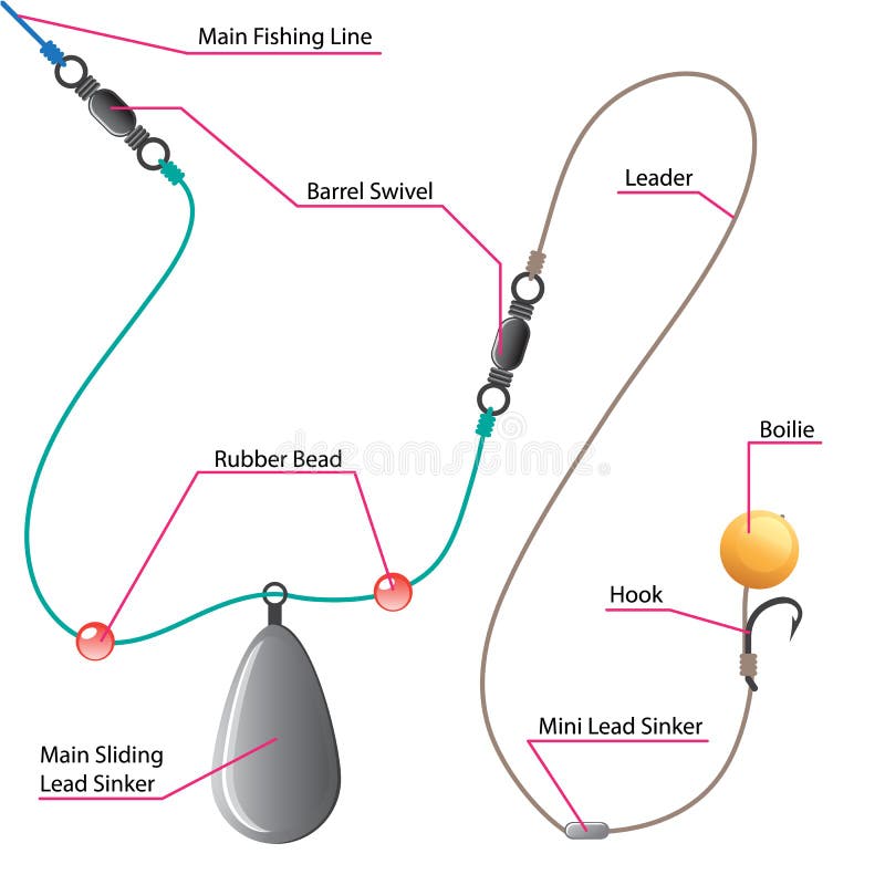 carp fishing boilies